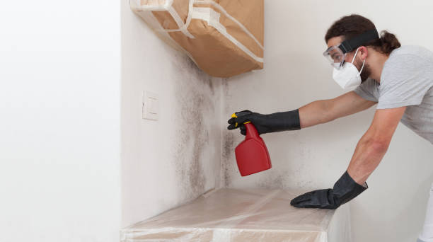 Attic Mold Remediation treatment on roof deck in Milton