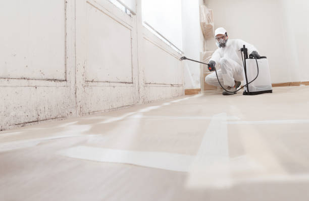 Post-remediation clearance in Milton
