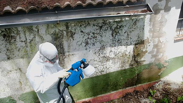 Clearance testing in Milton